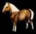 Shetland Pony - Pelle